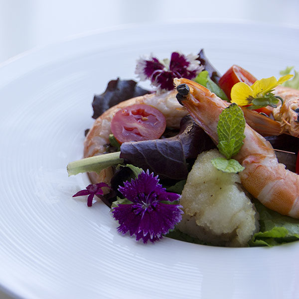 WORKSHOP OF THE MEDITERRANEAN CUISINE